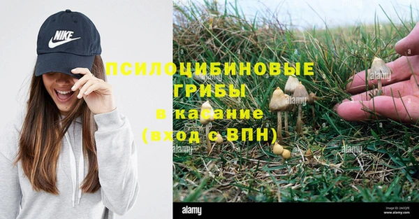 прущий лед Ветлуга
