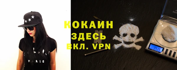 прущие грибы Видное