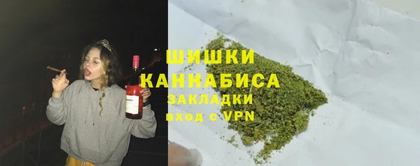 прущие грибы Видное