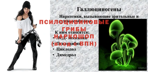 а пвп мука Анжеро-Судженск
