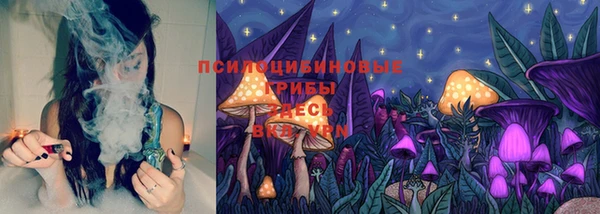 прущий лед Ветлуга