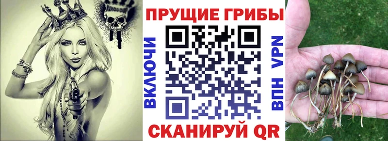 гидра ссылки  где купить   Арск  Галлюциногенные грибы GOLDEN TEACHER 